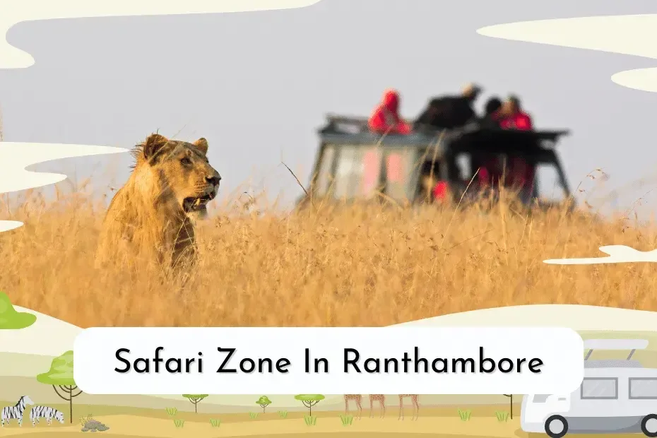 Tiger in the wildlife safari field with text - Safari Zone In Ranthambore