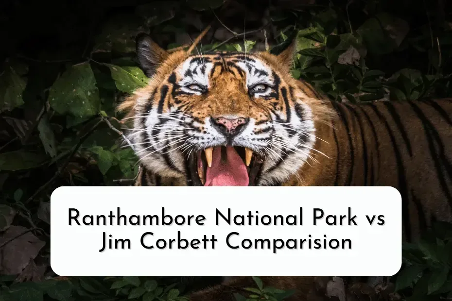 Roaring Tiger With Text - Ranthambore National Park vs Jim Corbett Comparision