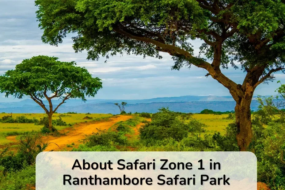 Ranthambore safari route with text - About Safari Zone 1 in Ranthambore Safari Park